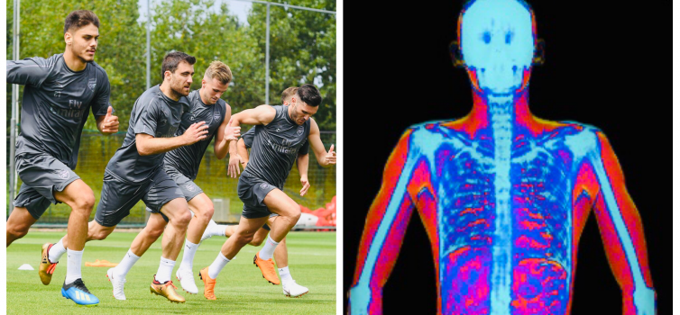 Arsenal have their own DEXA machine, which generates an image like the one on the right