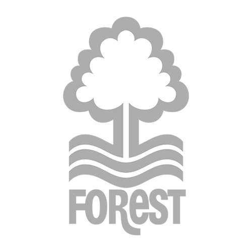 forest.jpg