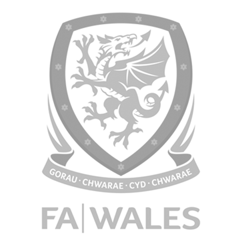 job_logo_wales.jpg